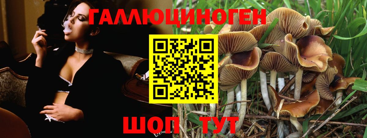 Конопля  Фролово  ГЕРОИН  Меф МЯУ МЯУ  Гашиш  Вход с VPN  Мефедрон   Кокаин 